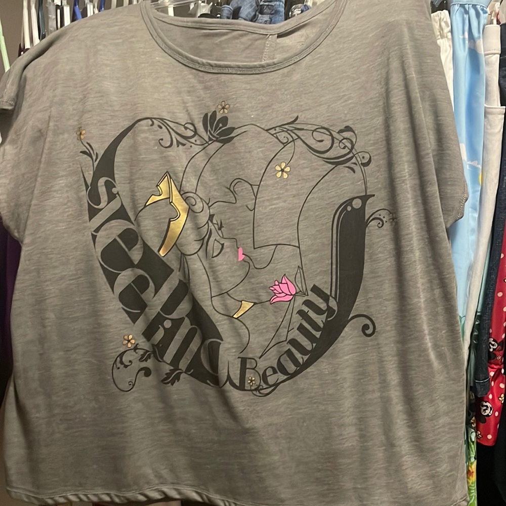 Disney Sleeping Beauty top L